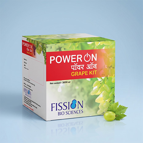 Power On Grape Kit