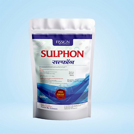 Sulphon