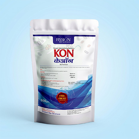 Kon